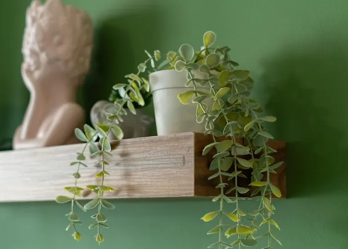 Apartamento Olivio Rétino